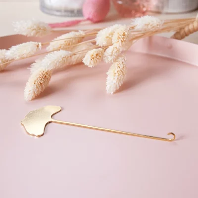 attache bracelet